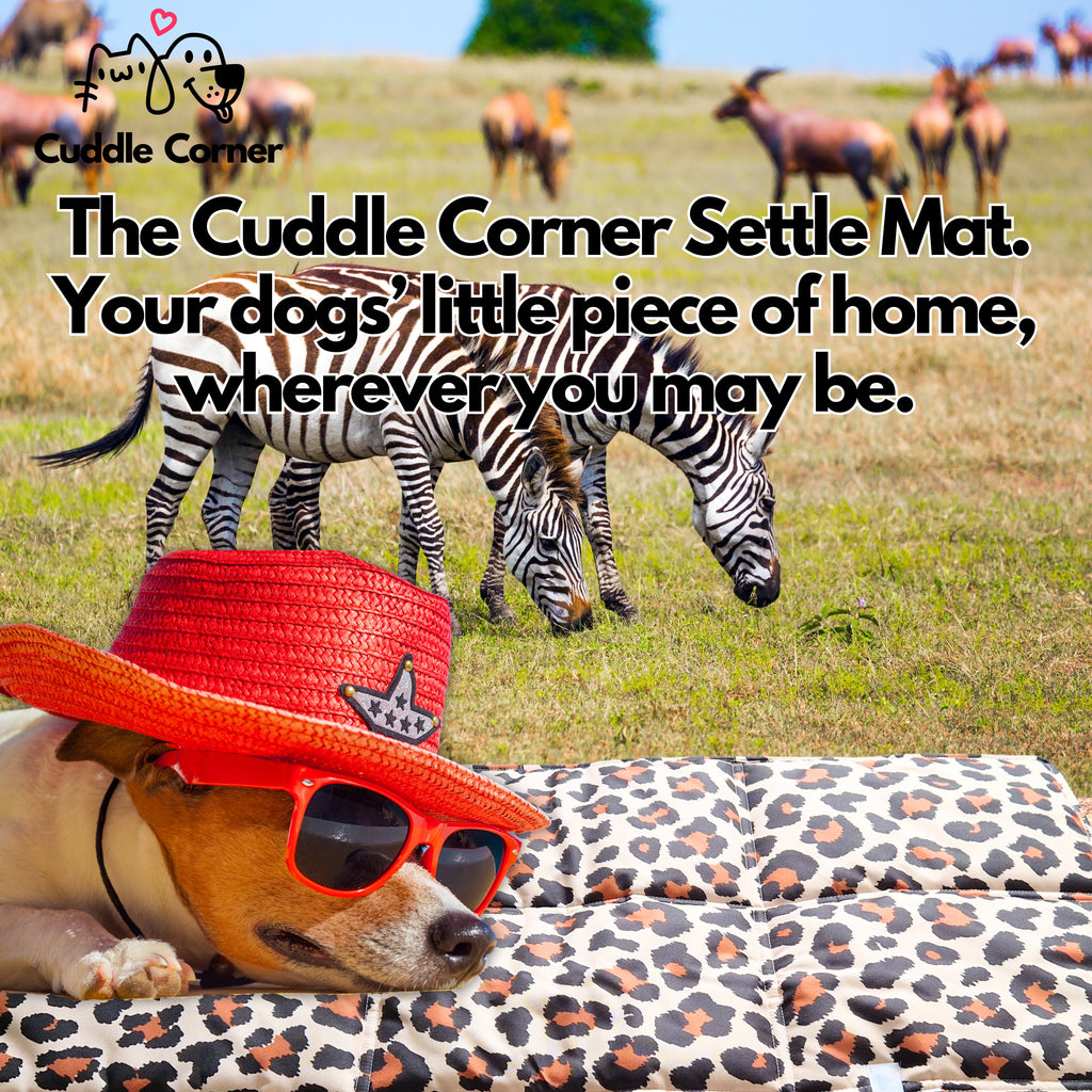 Cuddle Corner Dog Settle Mat / Travel Mat, 100×70cm, Non-Slip, Foldable, Washable Oxford Fabric with Carry Handle – Portable Dog Bed for Home, Crate, Car & Camping